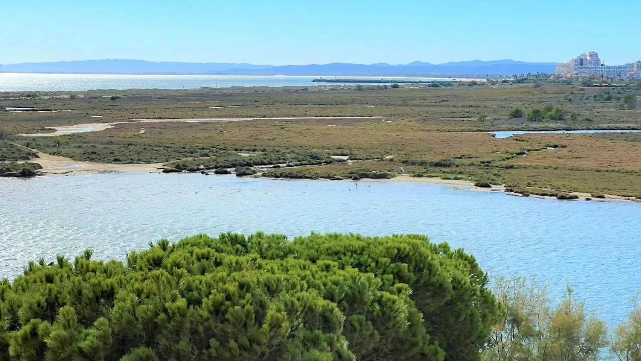 Bonito Estudio En Roses Con Vista Al Mar Y Piscina 아파트 스페인